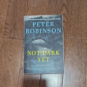 'Not Dark Yet' Novel - Gray Cover